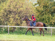 AK021025-80 - Believitanducan